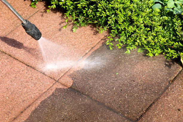 Best Pressure Washing Near Me  in Jarales, NM